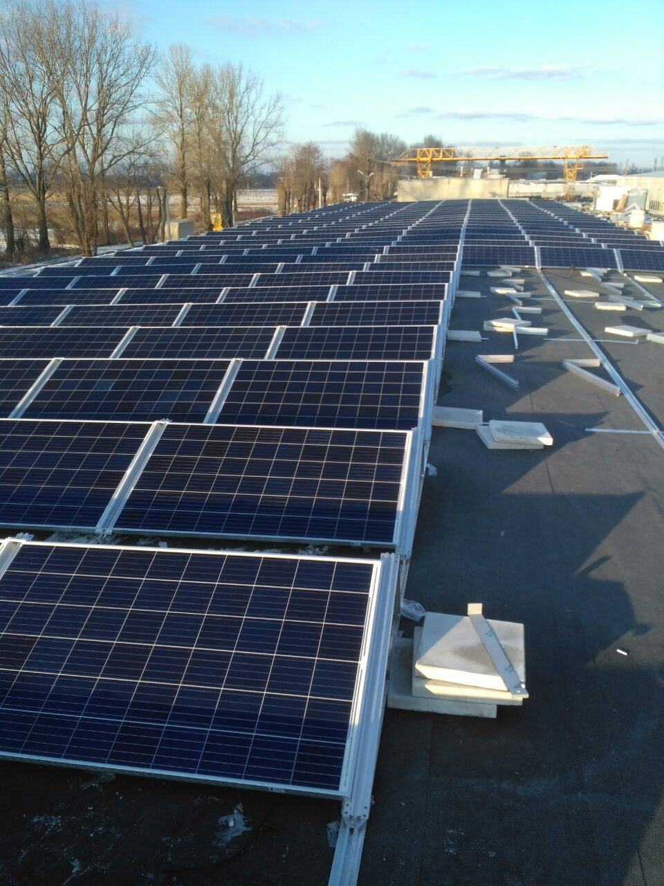 Поле сонячних панелей